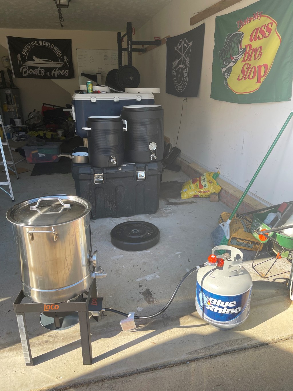 An aerie of&nbsp;hawks